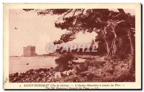 Cartes postales Saint Honorat Iles de Lerins l'Ancien Monastere a travers les Pins