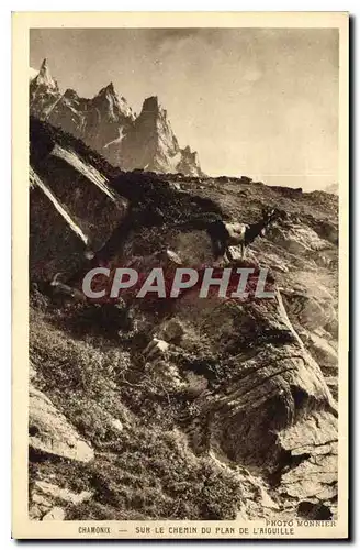 Cartes postales Chamonix sur le Chemin du Plan de lAiguille