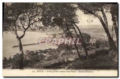 Cartes postales Nice Vue prise entre les Pins Mont Boron