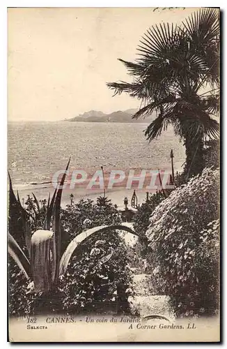 Cartes postales Cannes Un coin du Jardin