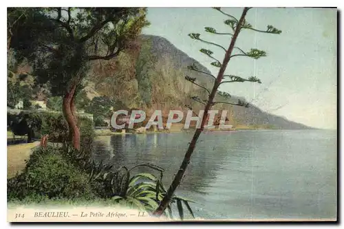 Cartes postales Beaulieu La Petite Afrique