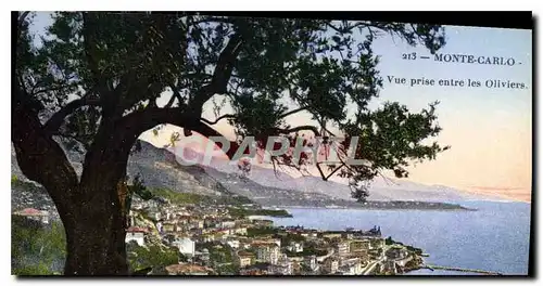 Cartes postales Monte Carlo Vue prise entre les Oliviers