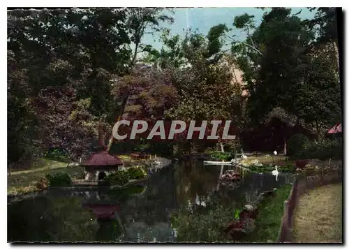 Cartes postales La Rochelle Le Bassin aux Cygnes