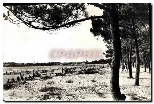 Cartes postales Saint Georges de Didonne La Plage