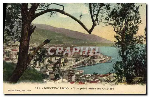 Cartes postales Monte Carlo vue prise entre les Oliviers