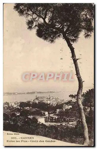 Cartes postales Cannes Entre les Pins Croix des Gardes