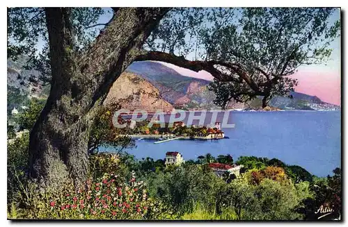 Cartes postales Beaulieu sur Mer La Pointe Fourmie