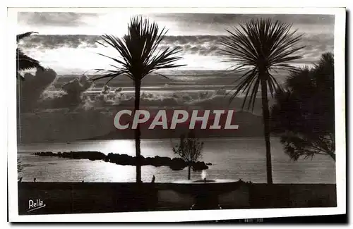 Cartes postales Cannes Coucher de soleil au Parc Albert Ier