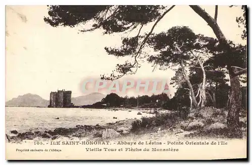 Cartes postales Ile Saint Honorat Abbaye de Lerins Pointe Orientale de l'Ile vieille tour et fleche du monastere