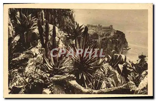 Cartes postales Monte Carlo Les Jardins exotique et le rocher de Monaco