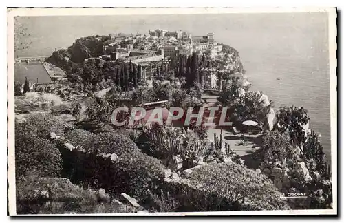 Cartes postales Monaco Le Rocher et les Jardins Exotique