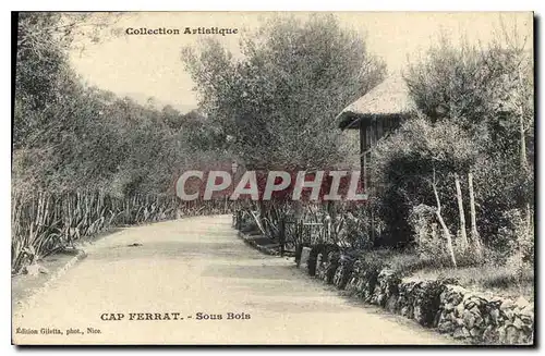 Cartes postales Collection Artistique Cap Ferrat Sous Bois