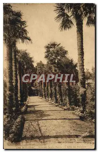 Ansichtskarte AK Bergerac Nouveau Jardin Public L'Allee des Palmiers