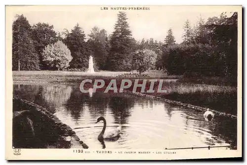 Cartes postales Les Hautes Pyrenees Tarbes Le Jardin Massey Les Cygres