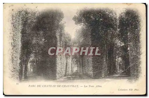 Ansichtskarte AK Parc du Chateau de Chantilly Les Trois Allees