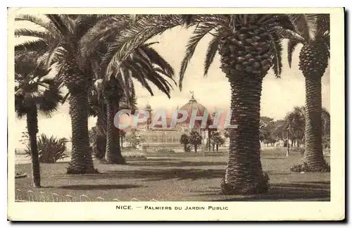 Cartes postales Nice Palmiers du Jardin Public