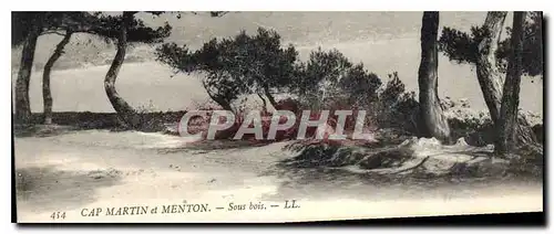 Cartes postales Cap Martin et Menton Sous Bois