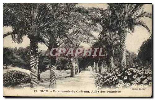 Cartes postales Nice Promenade du Chateau Allee des Palmiers