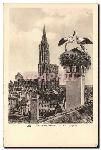 Cartes postales Strasbourg Les Cigognes