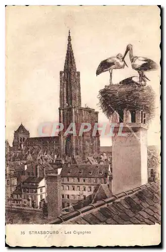 Cartes postales Strasbourg Les Cigognes