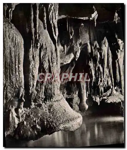 Cartes postales Grottes de Betharram Champignoax