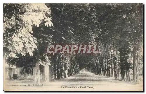 Cartes postales La Charmille du Canal Terray