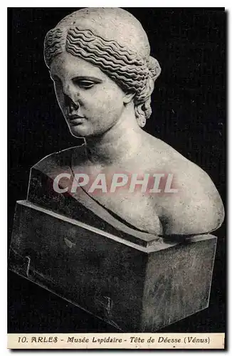 Cartes postales Arles Musee Lapidaire Tete de Deese Venus