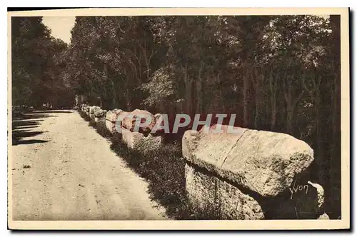 Ansichtskarte AK Arles Bouches du Rhone les Alyscamps l'Allee des Tombeaux