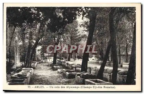 Ansichtskarte AK Arles un Coin des Alyscamps Champs Elysees Romains