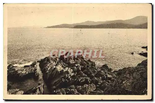 Cartes postales Le Lavandou Faviere