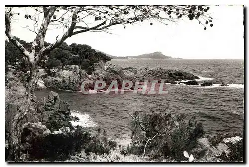 Cartes postales Cote d'Azur Boulouris Calanques de Sainta Lucia au fond le Dramont