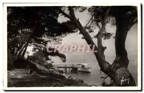 Cartes postales Cote d'Azur Ile Ste Marguerite l'Embarcadere Bateau