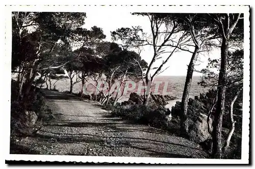 Cartes postales La Cote d'Azur le Chemin sous les Pins