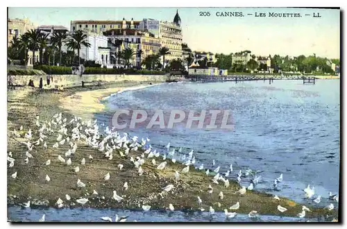 Cartes postales Cannes les Mouettes