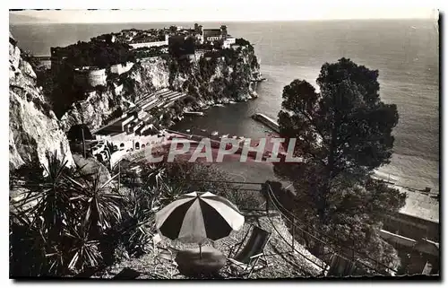 Cartes postales Principaute de Monaco le Rocher vue prise de l'entree des Grottes du Jardin Exotique