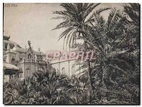 Cartes postales Monte Carlo