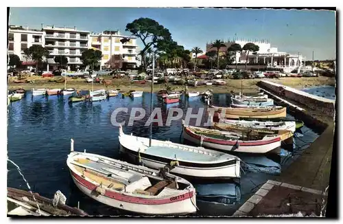 Cartes postales La Cote d'Azur Cannes le Palm Beach