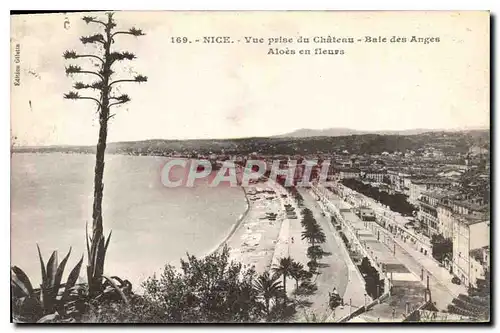 Ansichtskarte AK Nice vue prise du Chateau Baie des Anges Aloes en fleurs