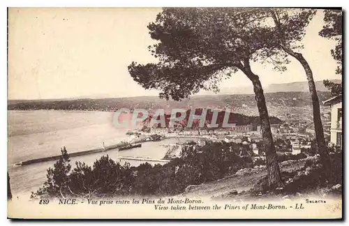 Cartes postales Nice vue prise entre les Pins du Mont Boron