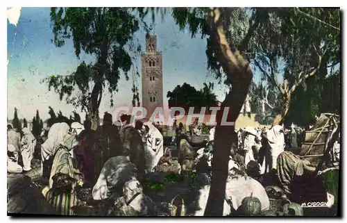 Cartes postales Scenes et Types Marche aux Legumes Algerie
