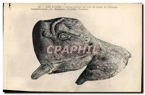Cartes postales Les Eyzies Bison Sculpte en bois de renne de l'epoque magdalenienne la madeleine fouilles peyron