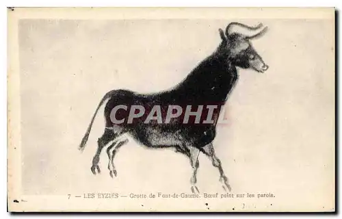 Cartes postales Les Eyzies Grotte de Font de Gaume boeuf peint sur les parois