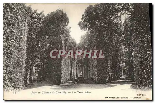 Ansichtskarte AK Parc du Chateau de Chantilly les Trois Allees