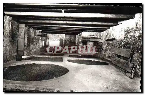 Cartes postales Dole Jura Maison Natale de Pasteur Atelier de Jean Joseph Pasteur tanneur