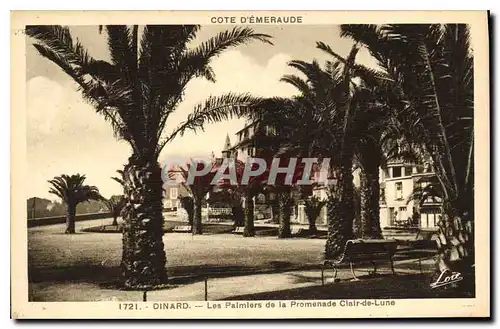 Cartes postales Cote d'Emeraude Dinard Les Palmiers de la Promenade Clair de Lune