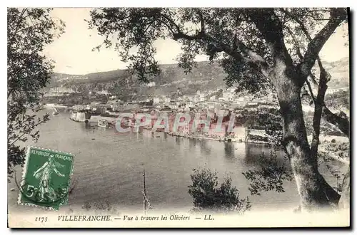 Cartes postales Villefranche Vue a travers les Oliviers