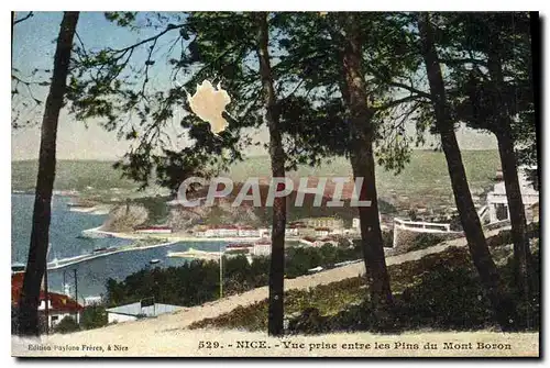 Cartes postales Nice Vue prise entre les Pins du Mont Boron