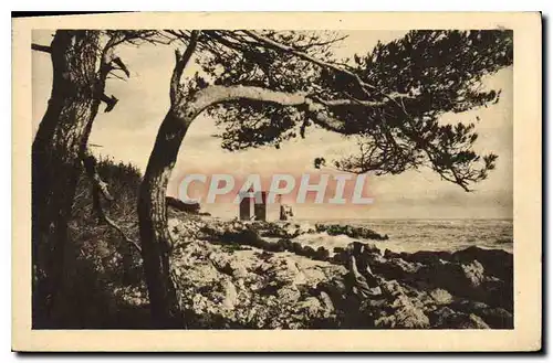 Cartes postales Les Religieux de France Iles de Lerins