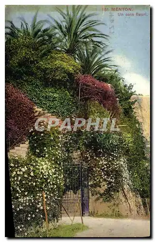 Cartes postales Menton un coin fleuri