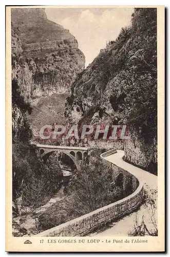 Cartes postales Les Gorges du Loup Le Pont de l'Abime